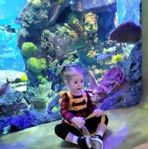 Meet your Posher, Bradley